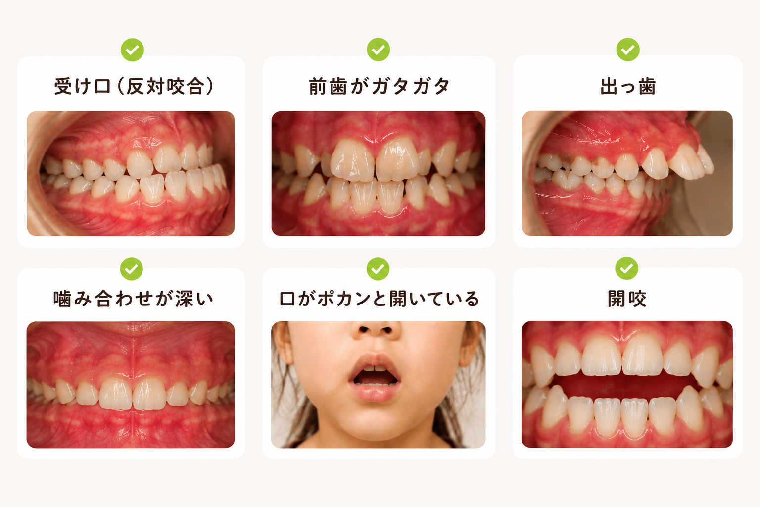 d1e80678-8dcc-461d-9dbb-2fb94efa68e2