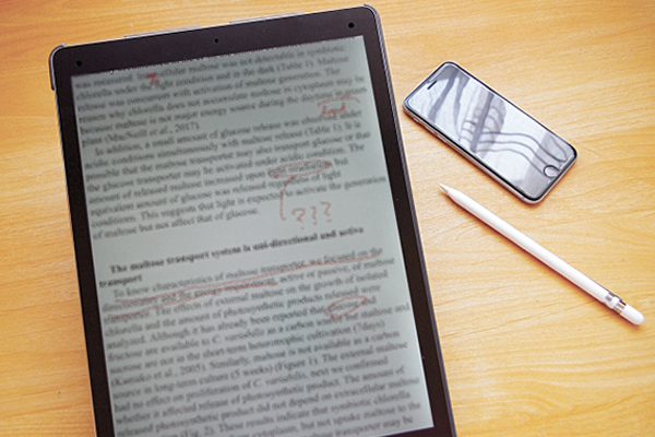 採点・添削指導