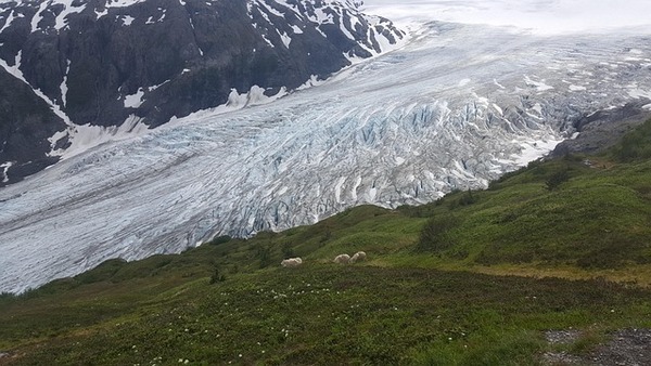 glacier-2720131_640_コピー