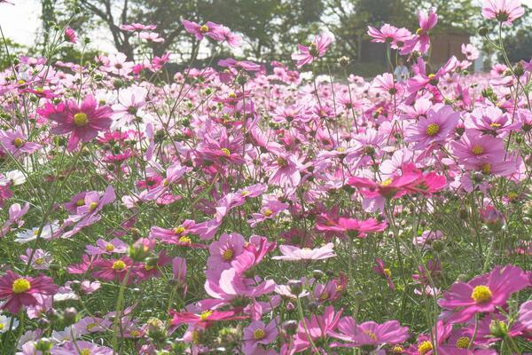 IMG_2173_コピー