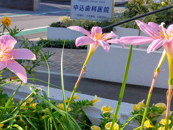 スタッフの声1