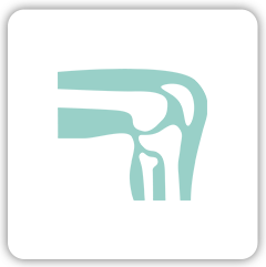icon01