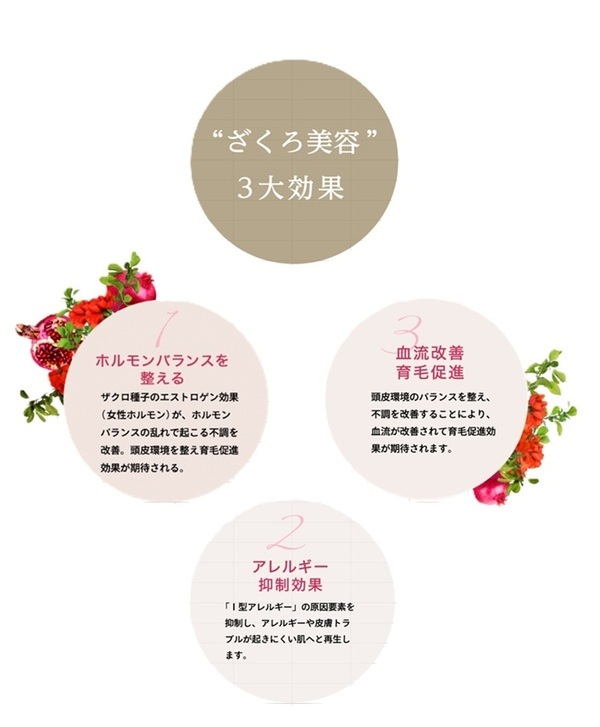 ざくろカラー（画像①-２）_コピー