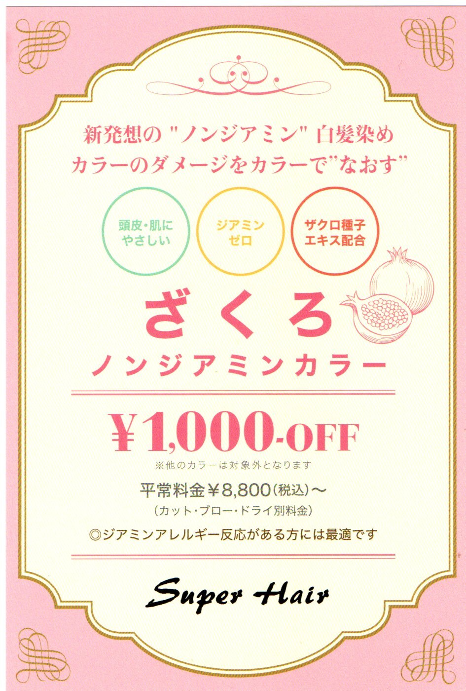ホームページクーポン（ざくろカラー）
