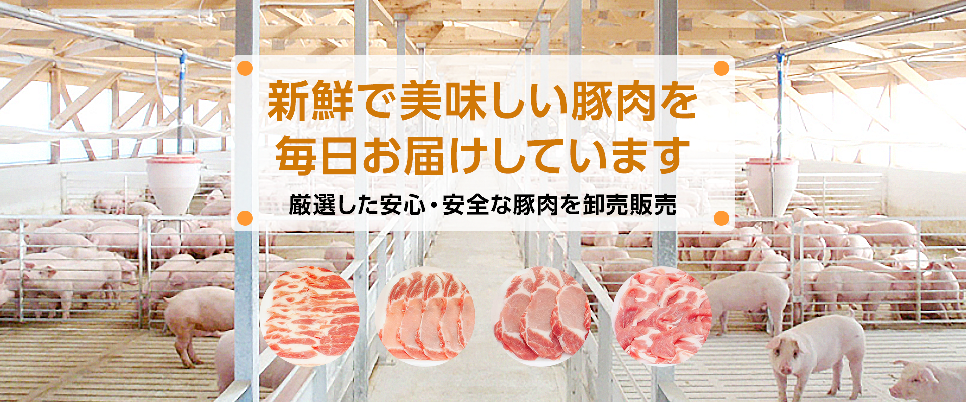 丸美ミート