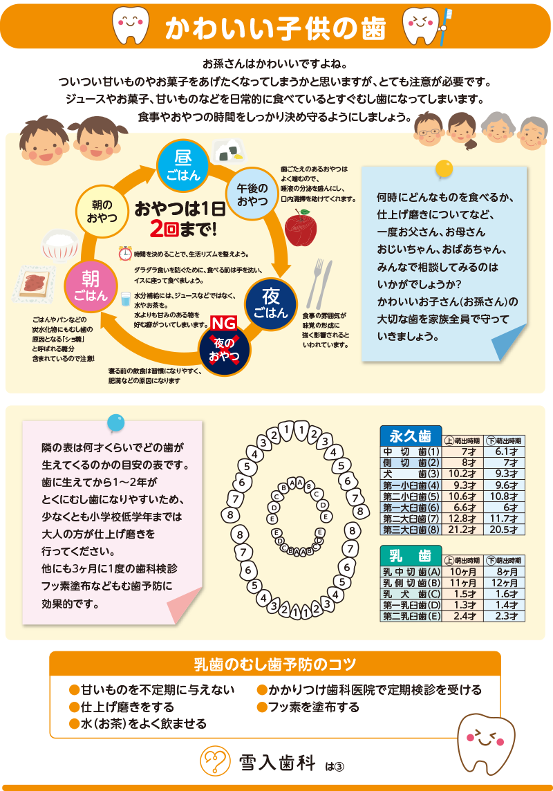 雪入歯科通信｜子供の歯