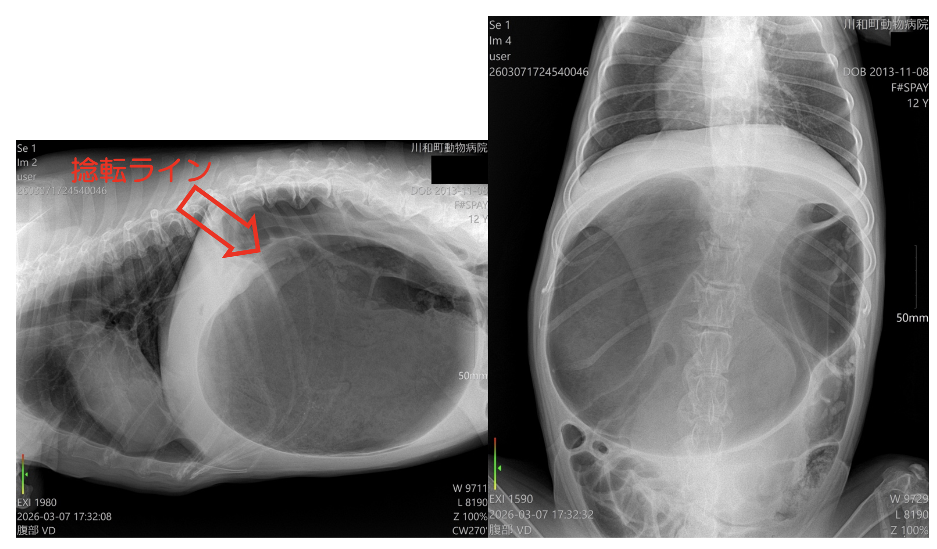 スクリーンショット 2026-03-23 15.42.50