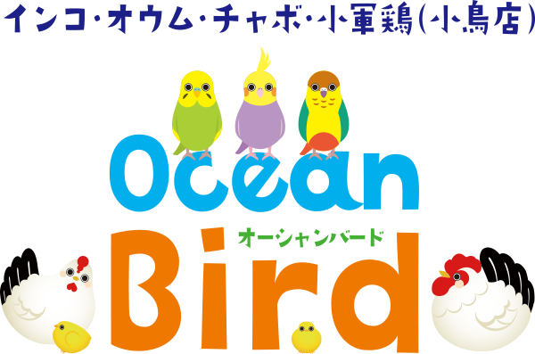 小鳥専門店 OceanBird｜沖縄県うるま市