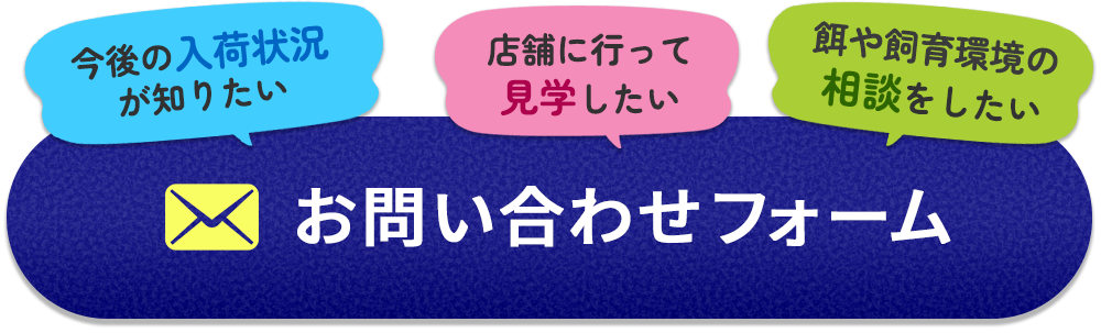 入荷状況・来店予約はお問い合わせフォームへ