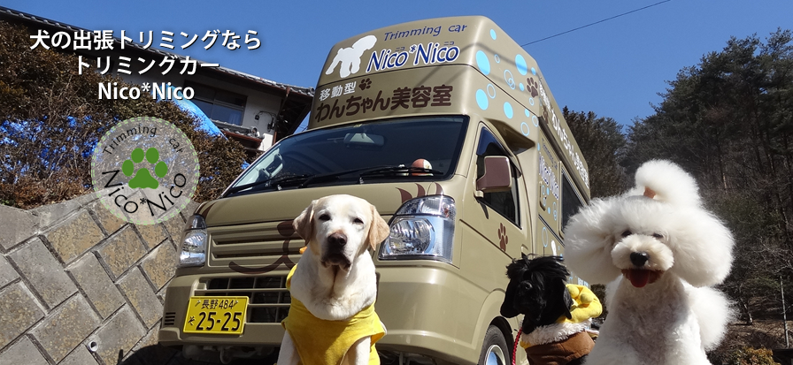 犬の出張トリミングならトリミングカーNico*Nico