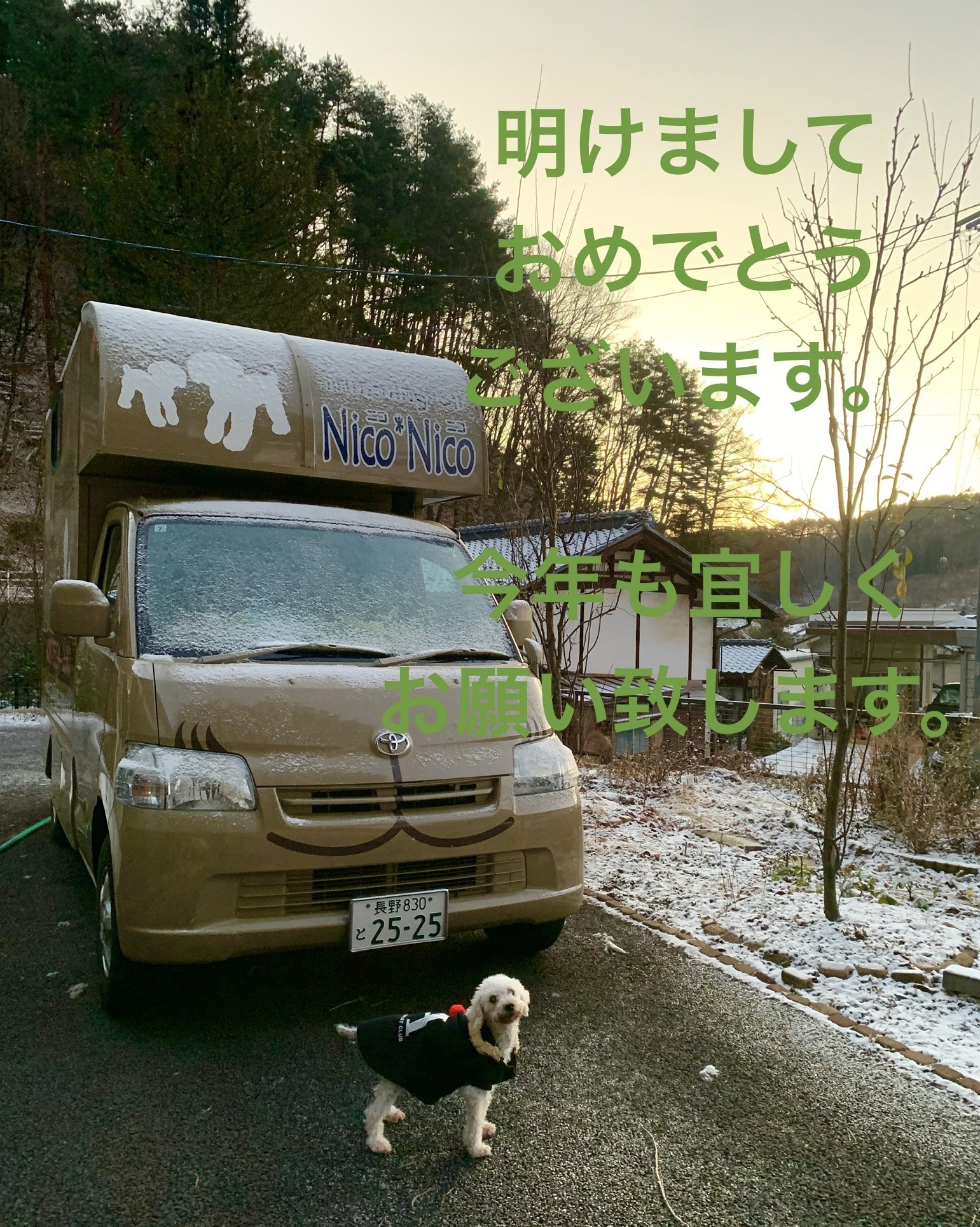 長野県佐久市周辺で移動型わんちゃん美容室ならトリミングカーNico 長野県佐久市周辺で移動型わんちゃん美容室ならトリミングカーNico