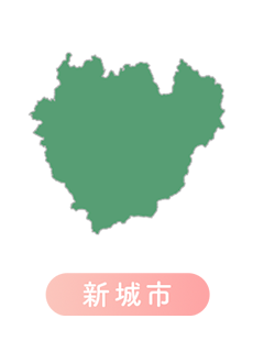 エリア新城市