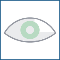 icon02