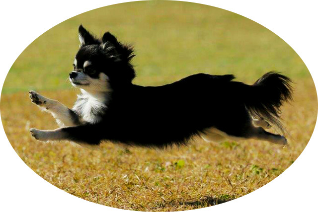 img_about-staff03-02