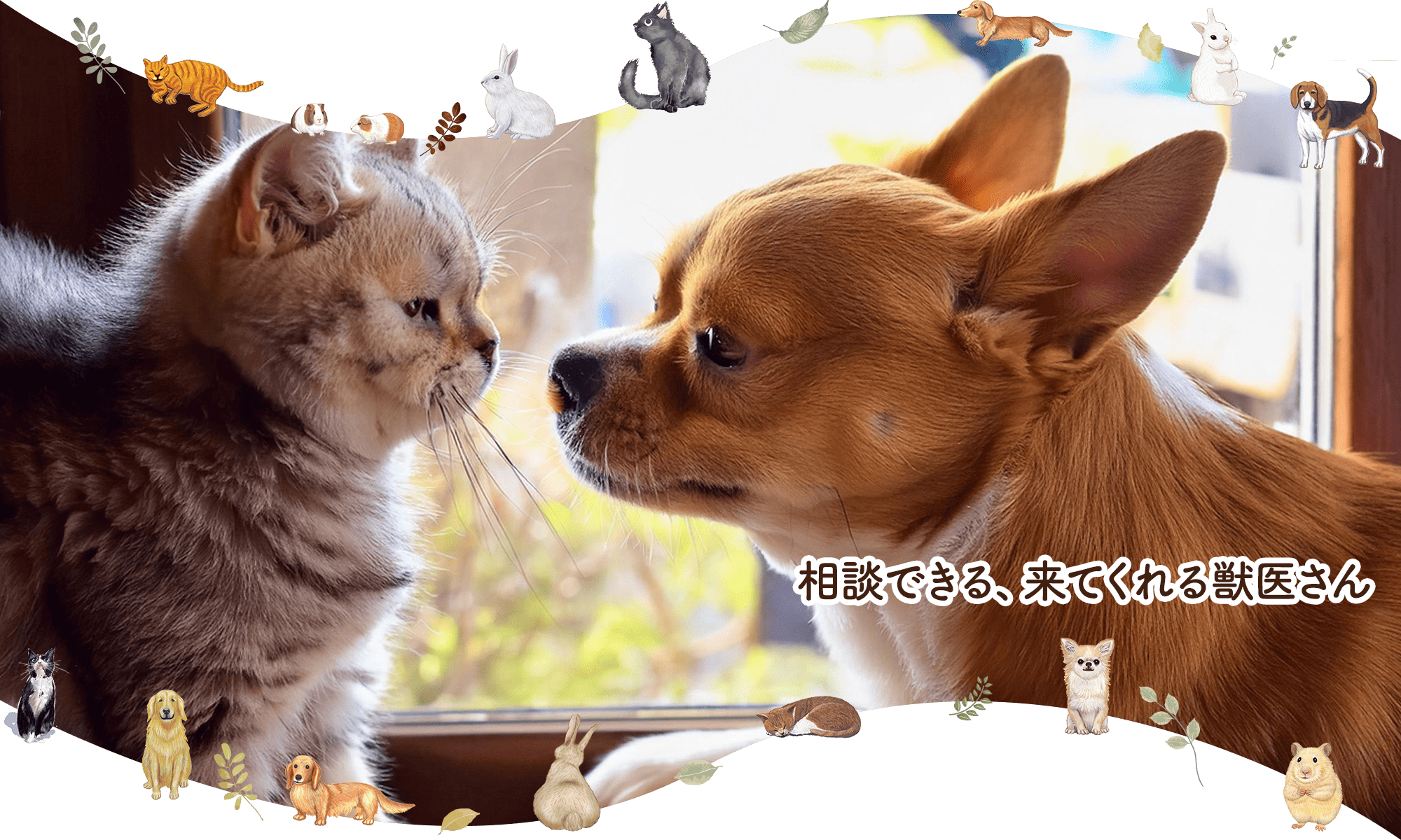 相談できる、来てくれる獣医さん