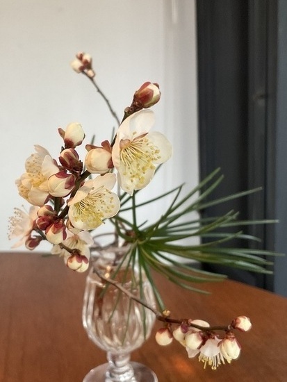 IMG_1740_コピー_コピー_コピー_コピー