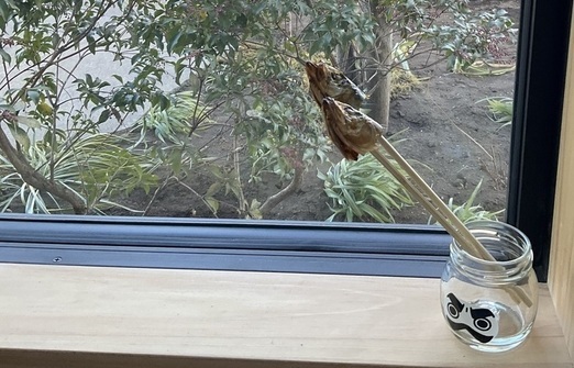 IMG_1857_コピー_コピー_コピー