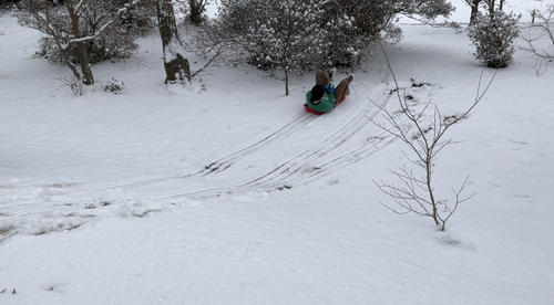 IMG_1915_コピー_コピー