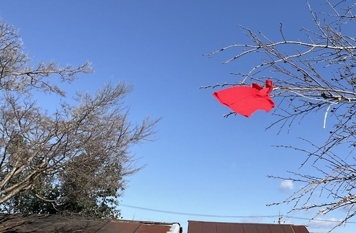 IMG_2076_コピー_コピー