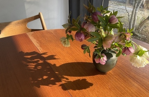 IMG_2165_コピー_コピー_コピー