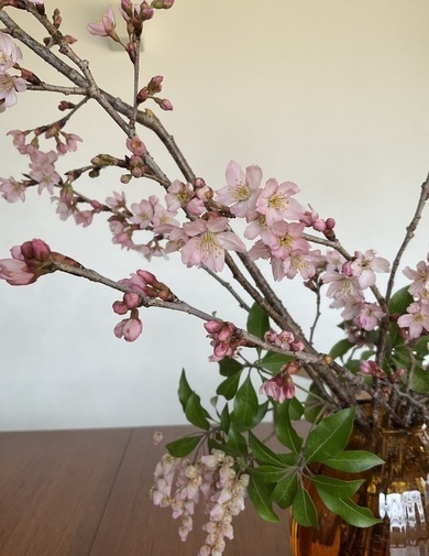 IMG_2176_コピー_コピー_コピー