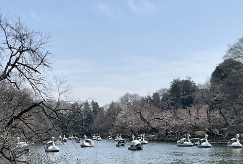 IMG_2204_コピー_コピー_コピー