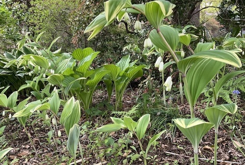 IMG_2461_コピー_コピー_コピー