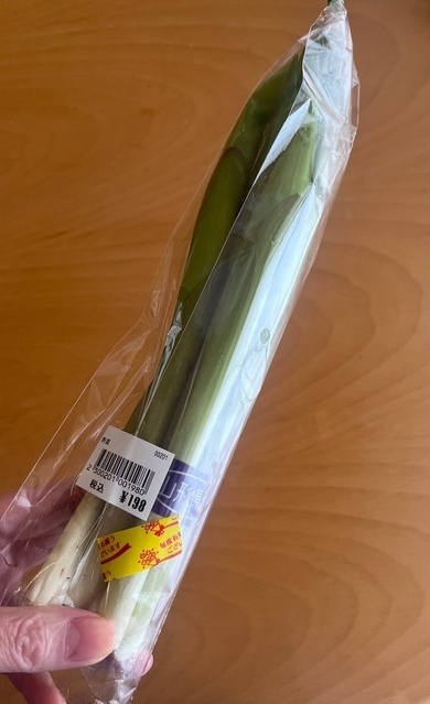 IMG_2468_コピー_コピー