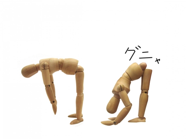体の柔軟性模型