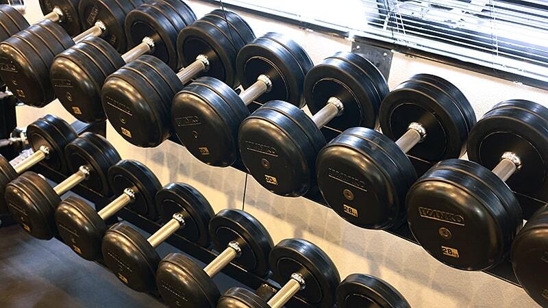 アンチエイジングと健康寿命延伸に特化