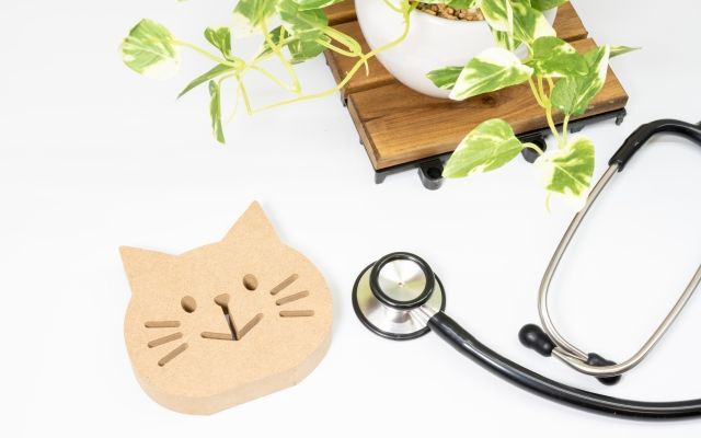 健康診断・各種検査