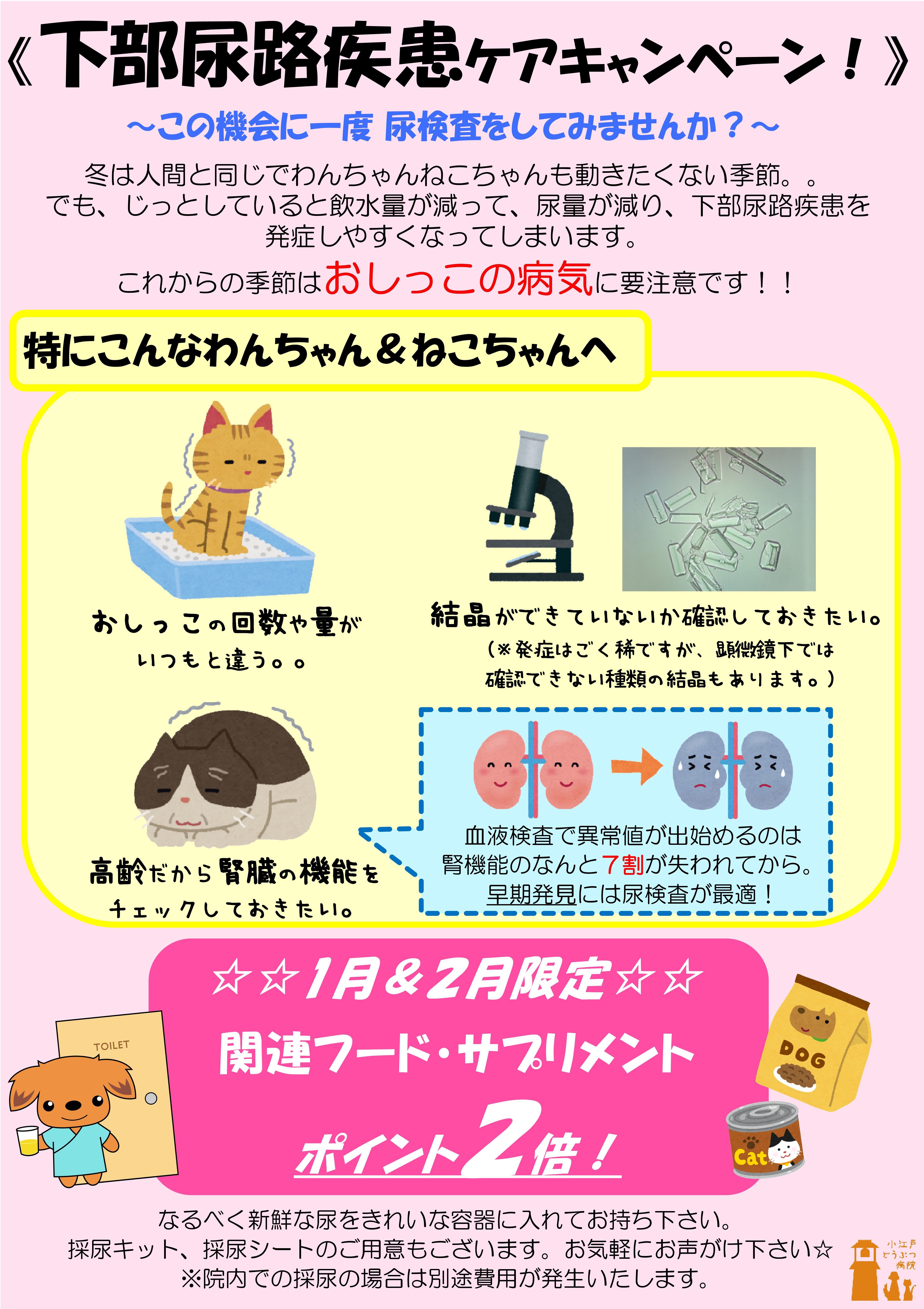 尿路キャンペーン