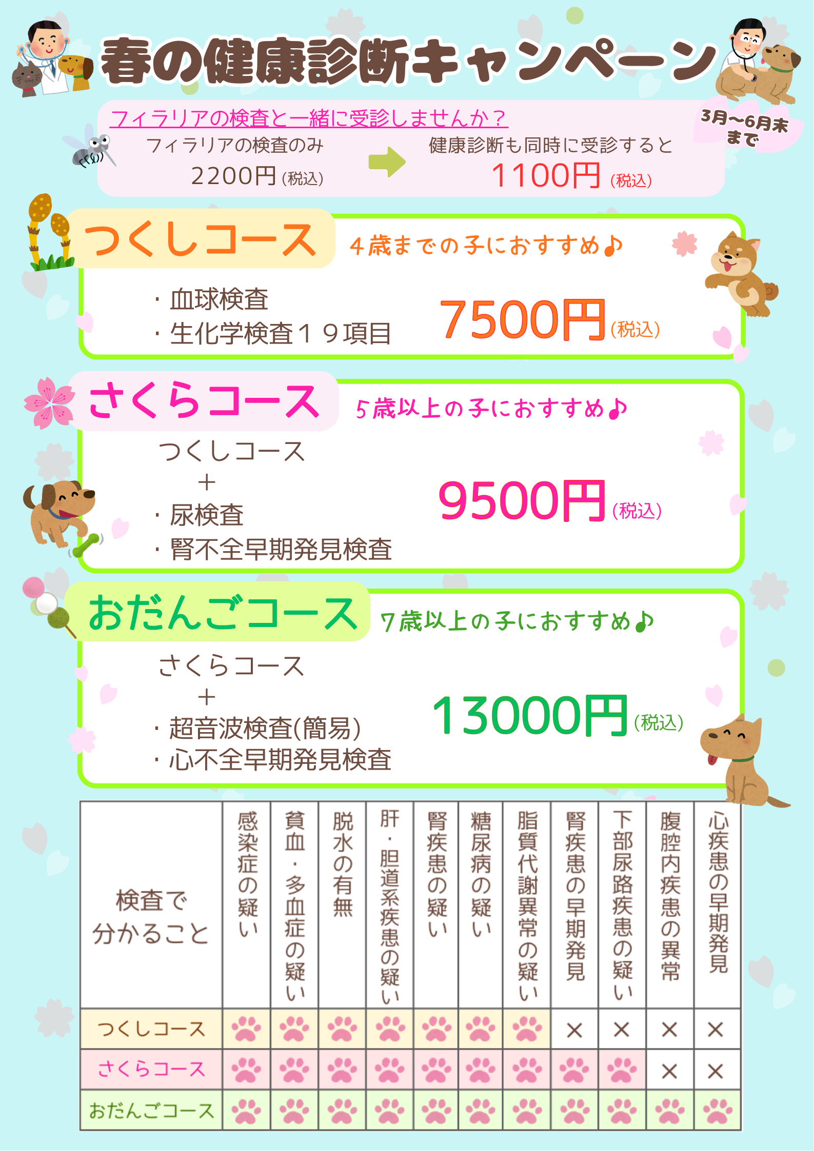 2026年春健　犬　A4