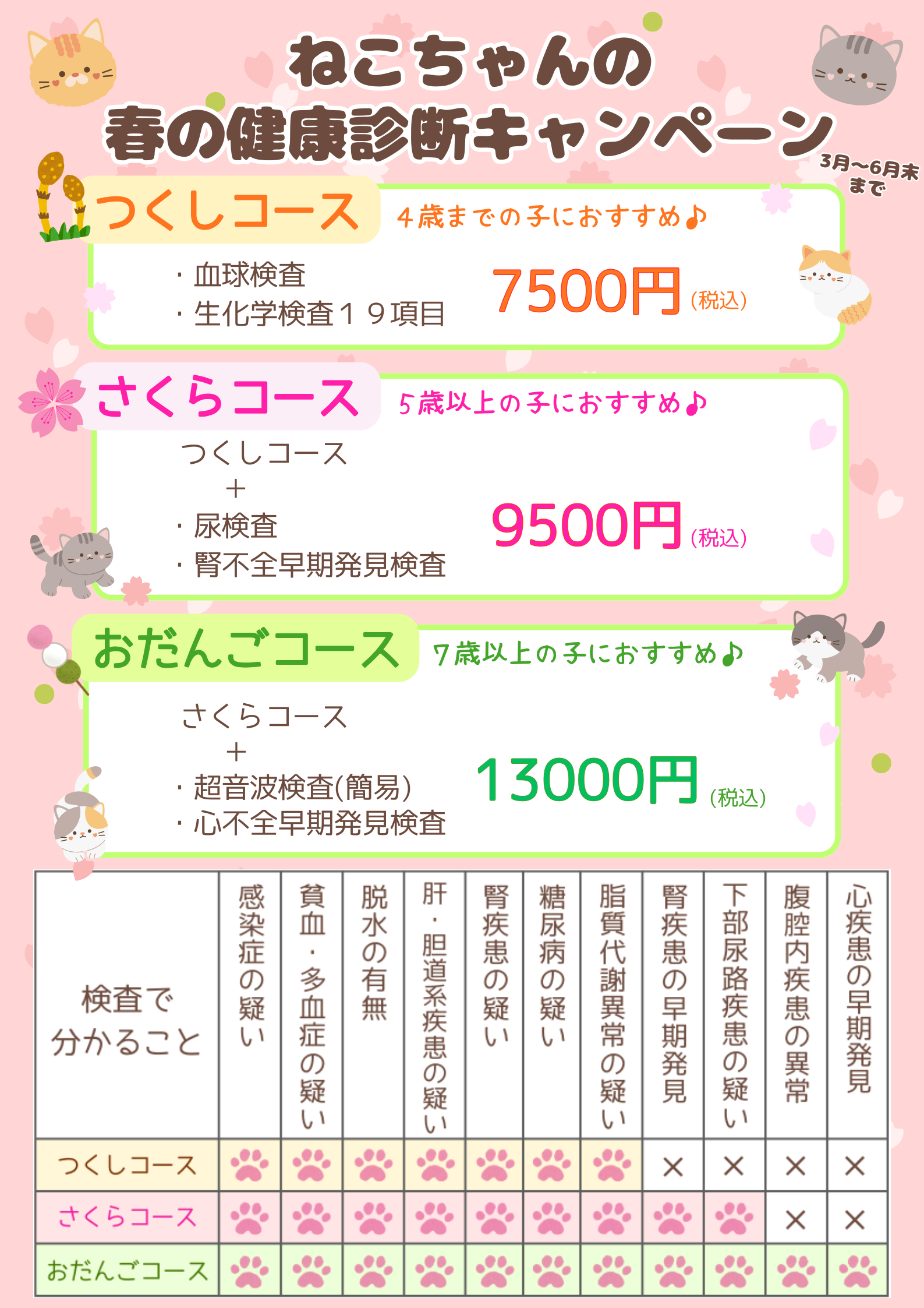 2026年春健　猫　A4