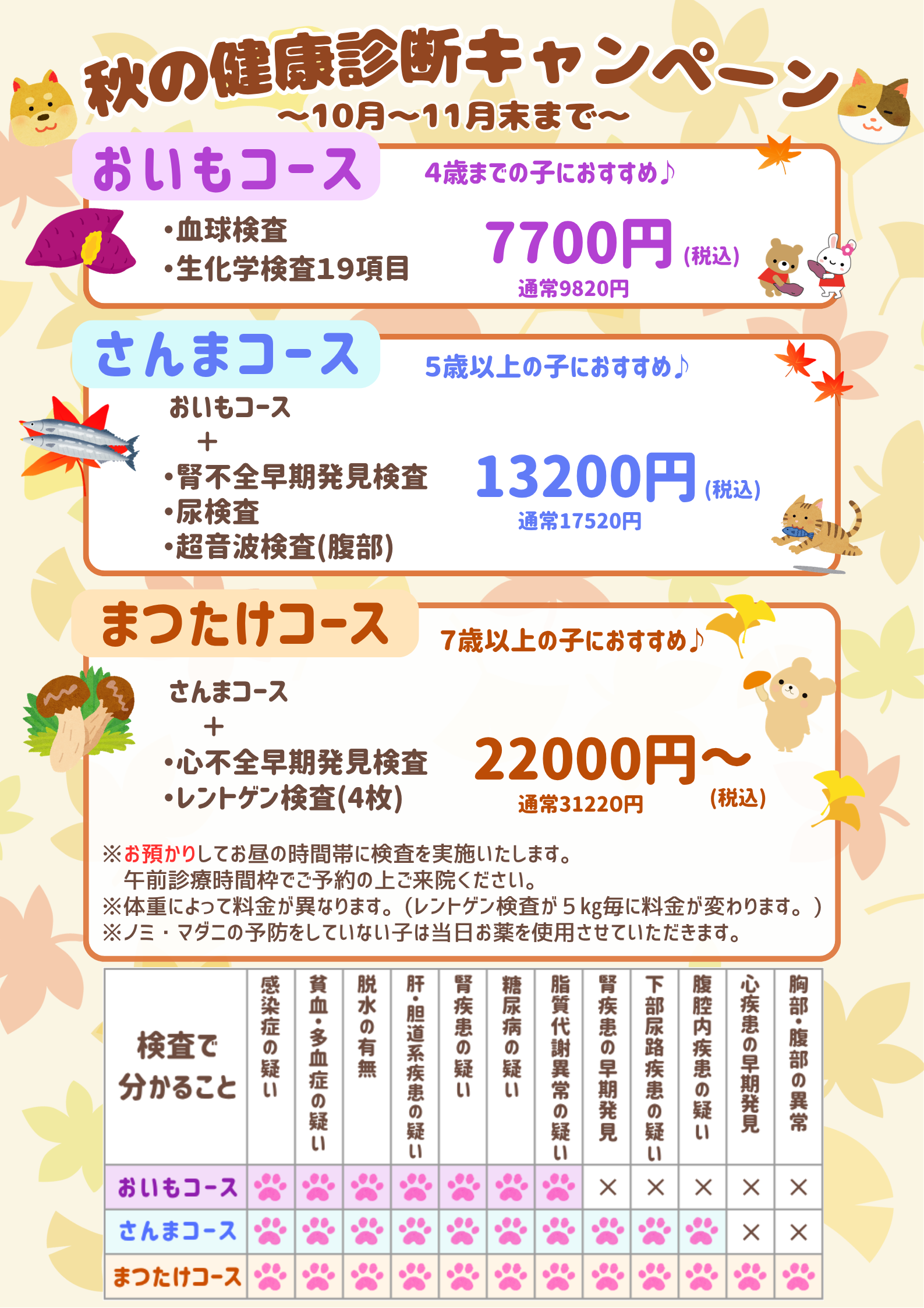 2026年秋健　A4 