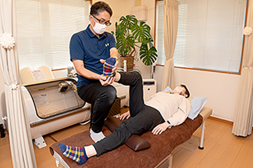 整体で「根本」から整える