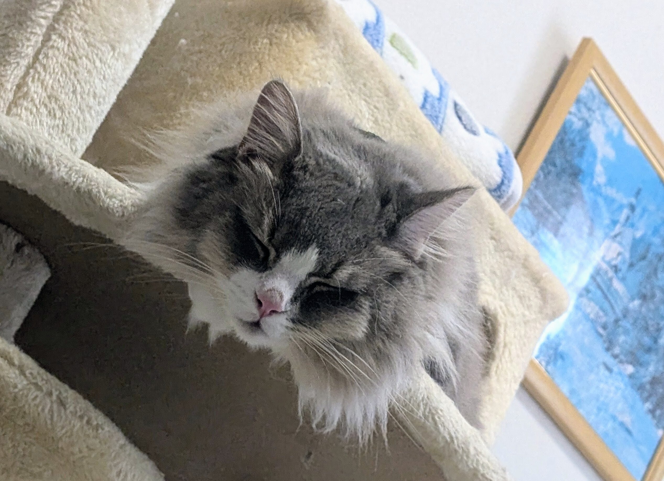 PXL_20240624_074551554.ACTION_PAN-01.COVER~2