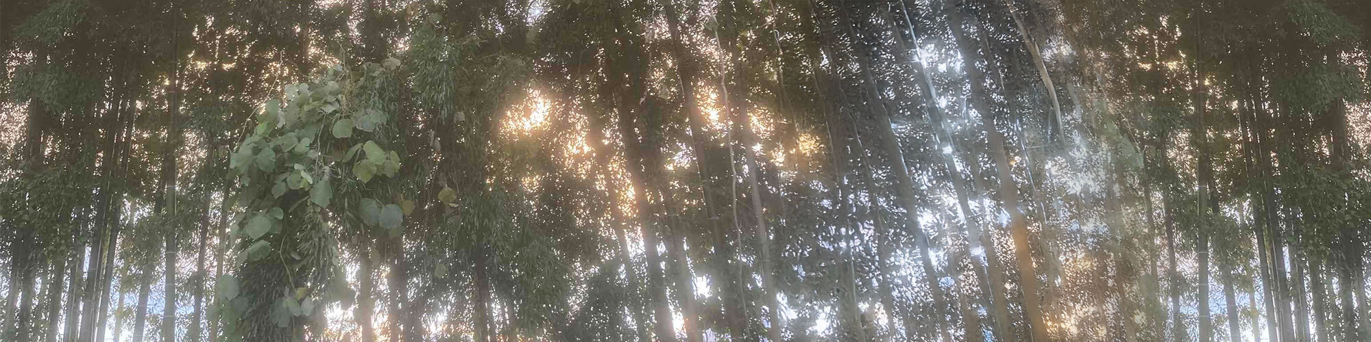 宇都宮カウンセリングトップバナー