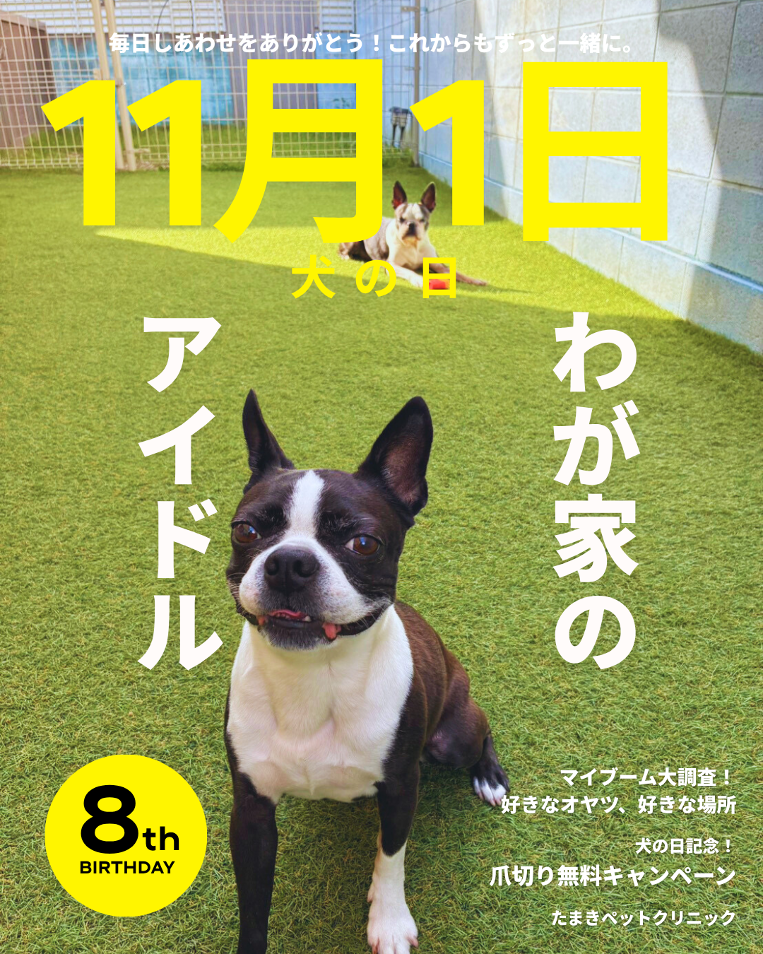 黄色 かわいい ペット 誕生日 雑誌風 インスタグラム投稿