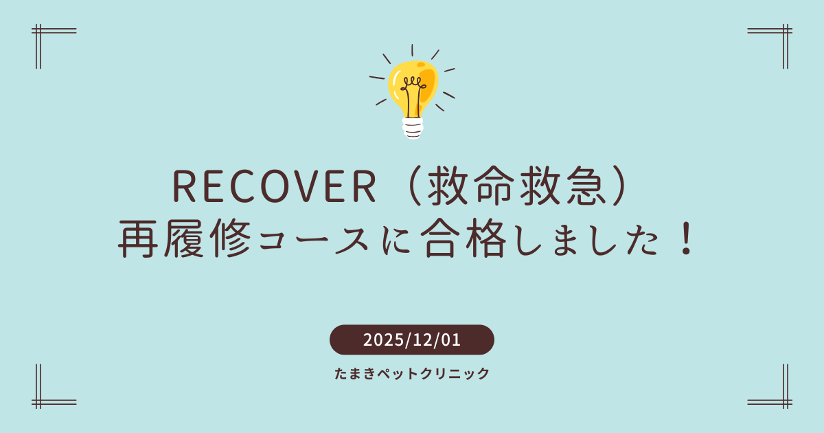 水色　シンプル　クリーン　ブログ　アイキャッチ画像 (1)