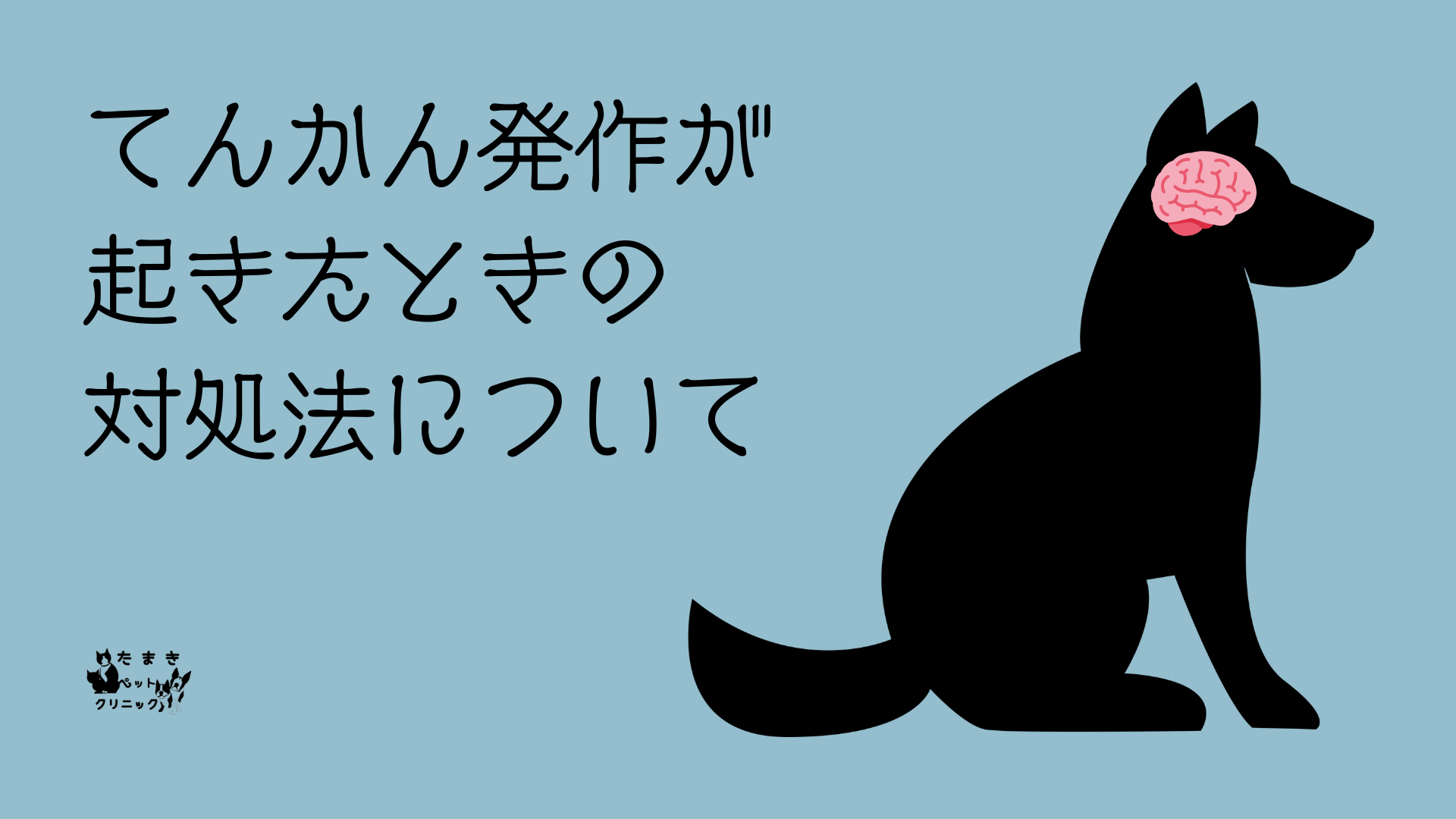 可視光とは 科学 プレゼンテーション ライトブルー 黒 手書きスタイル (4)