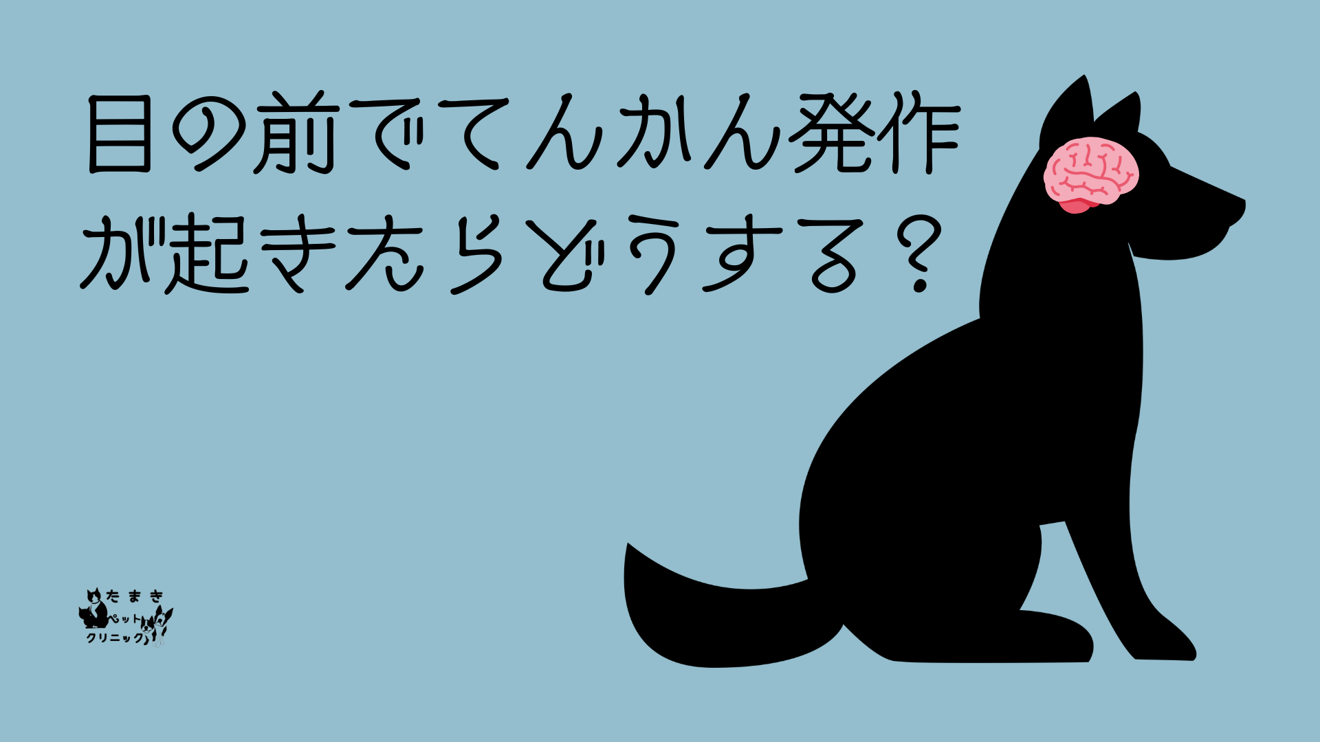 可視光とは 科学 プレゼンテーション ライトブルー 黒 手書きスタイル (7)