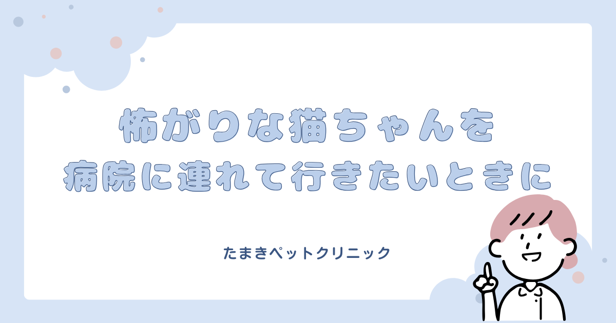 水色　白　かわいい　ポップ　子供　イラスト　自由研究　はてなブログアイキャッチ (3)