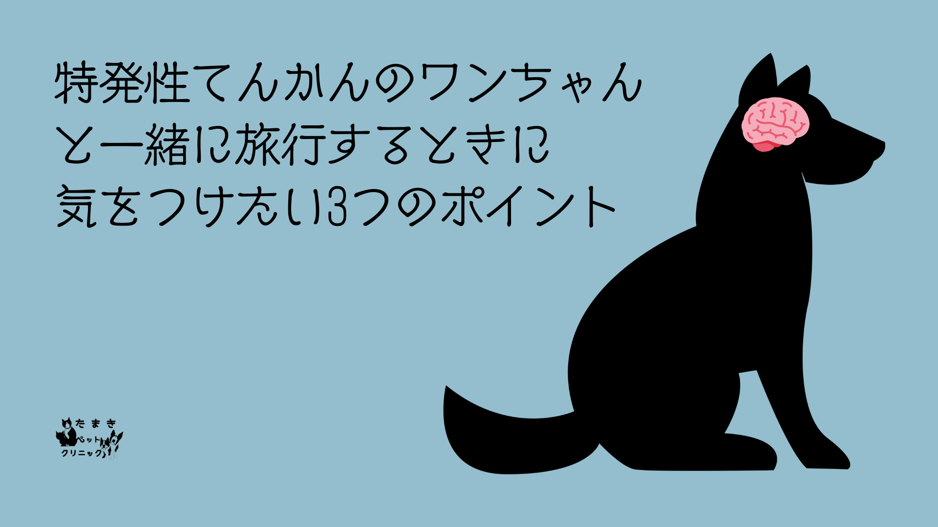 可視光とは 科学 プレゼンテーション ライトブルー 黒 手書きスタイル (12)