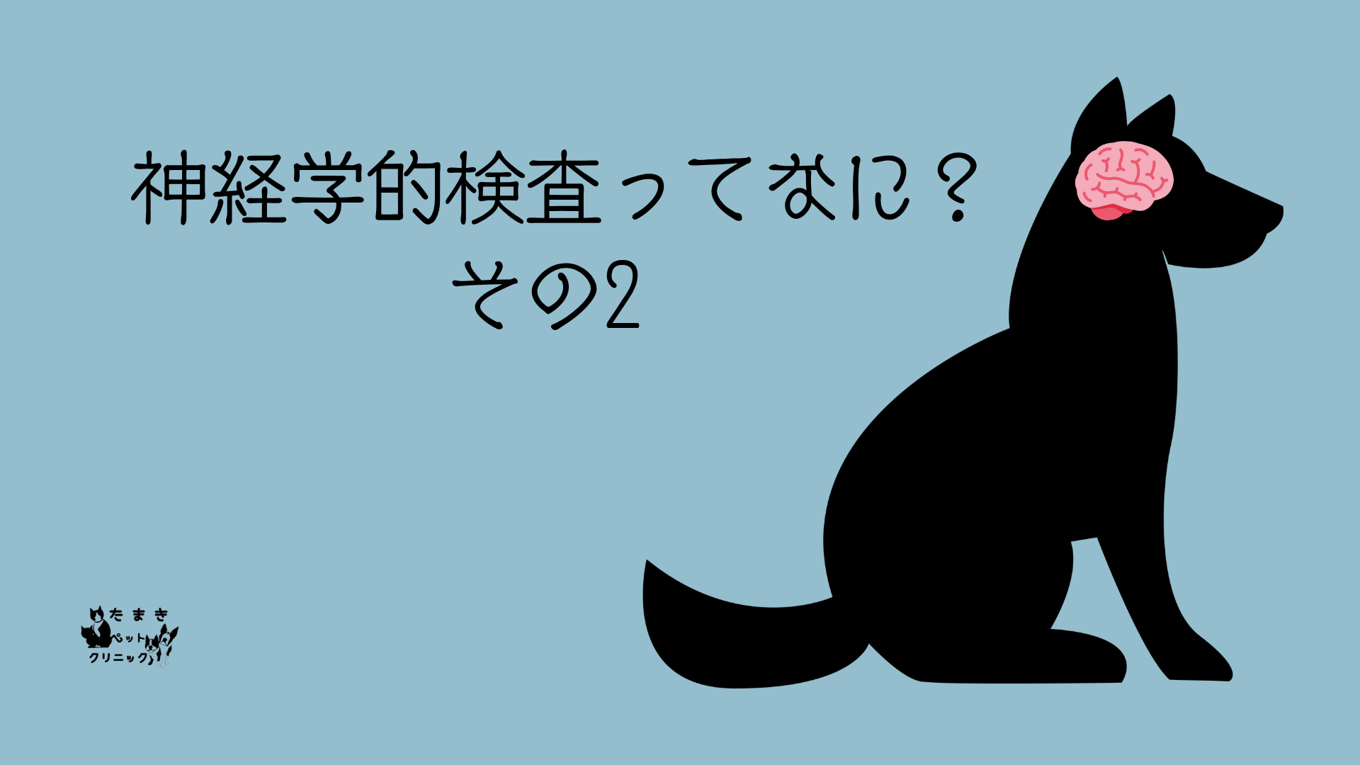 可視光とは 科学 プレゼンテーション ライトブルー 黒 手書きスタイル (13)