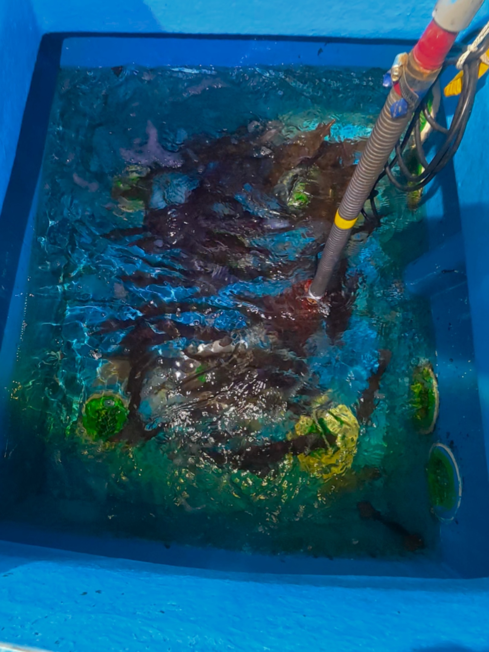 dji_export_20260409_photo_0001