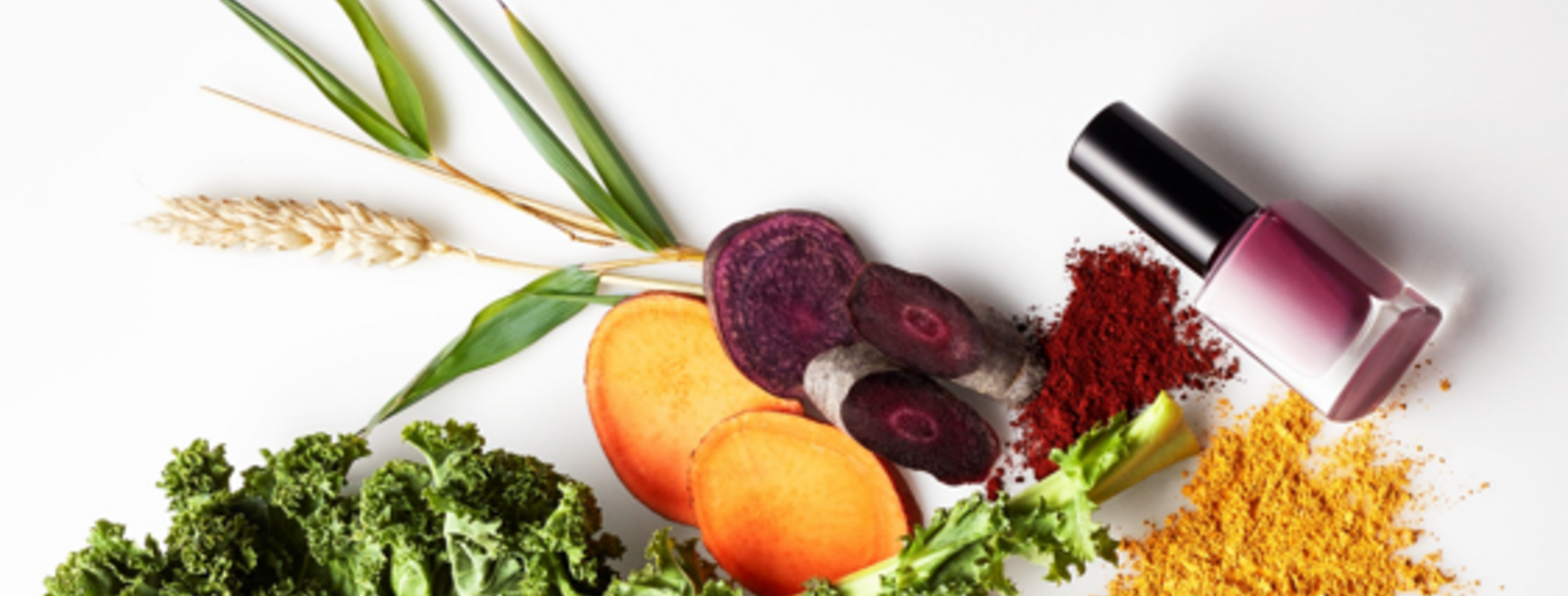 ホーム用画像2-PC