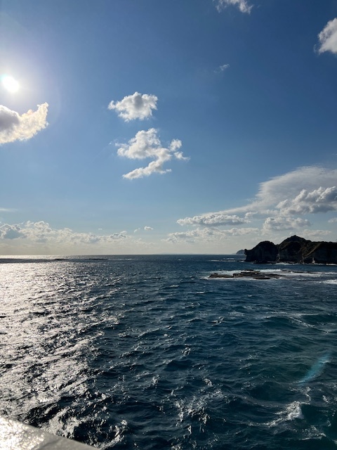 IMG_0431