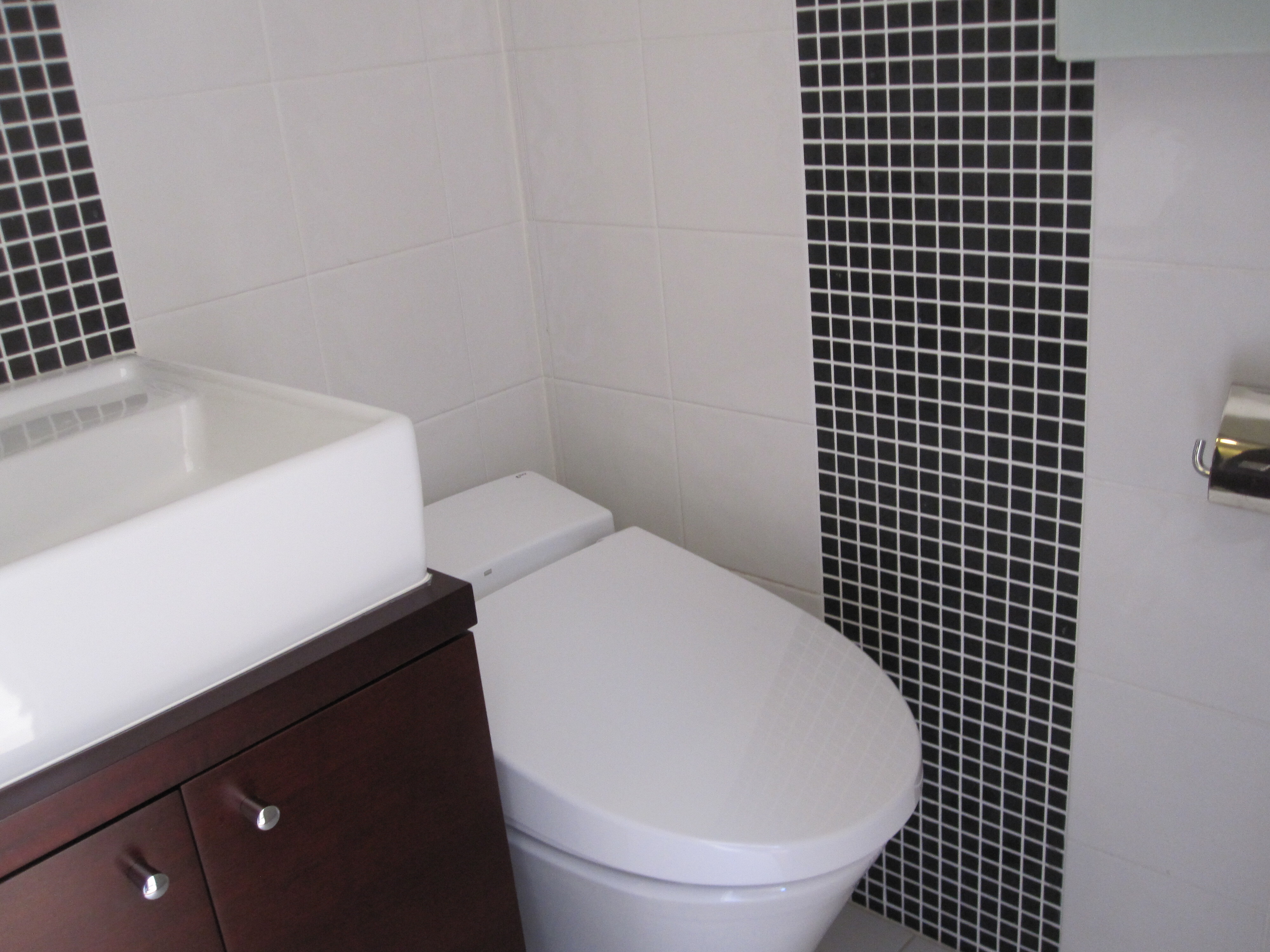 2010-08-16 15-17-02_0013