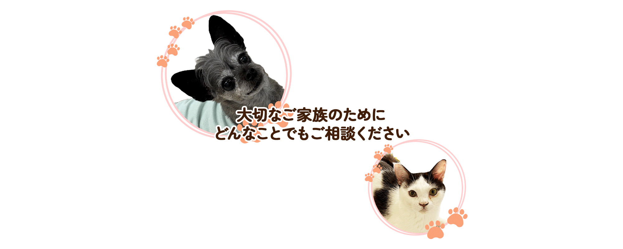 大切なご家族のために どんなことでもご相談ください